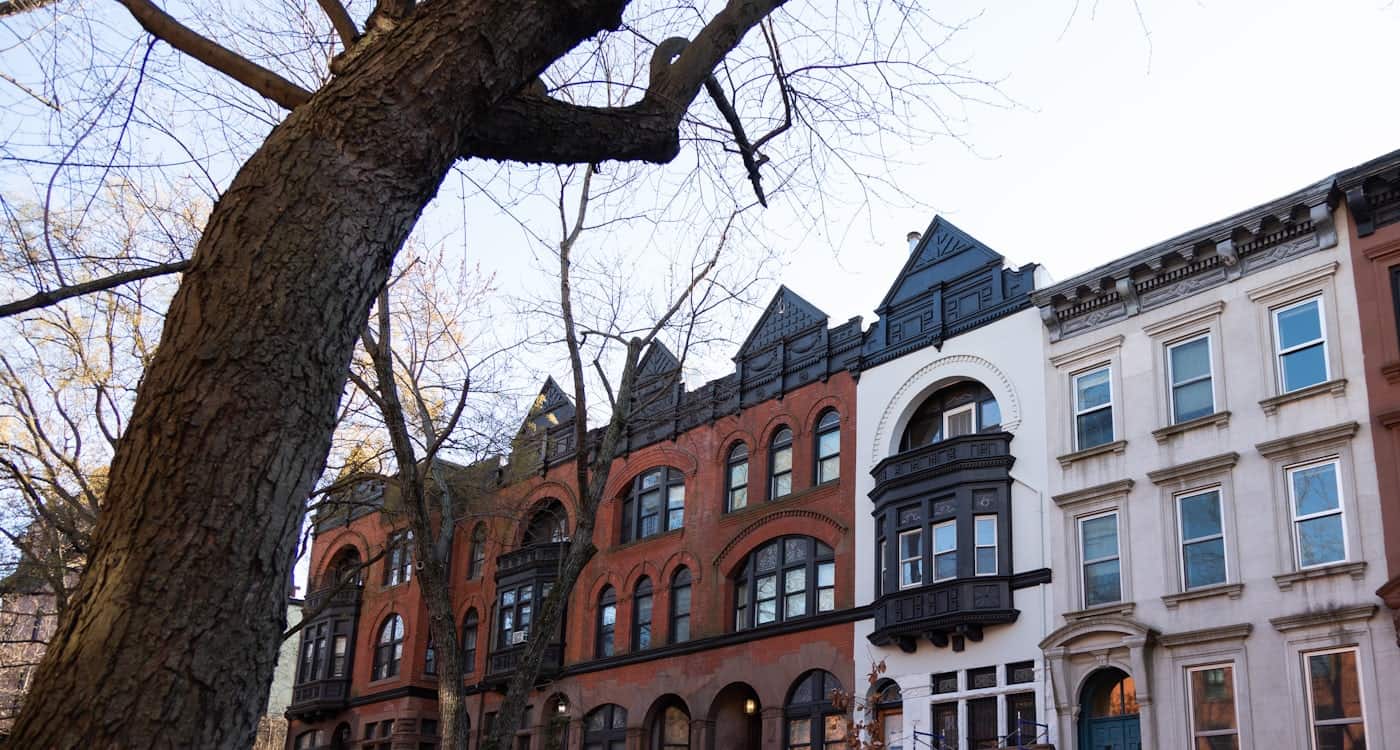 Prospect Heights blocks near the Botanic Garden