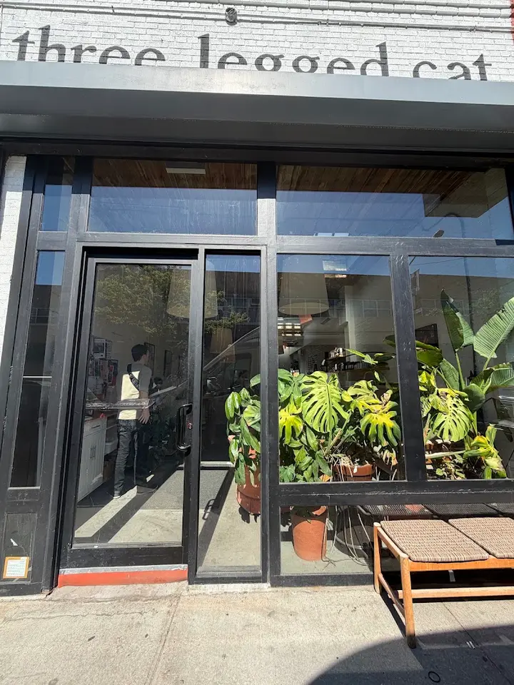 three legged cat coffee shop in Brooklyn