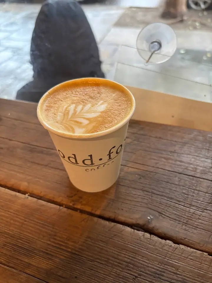 Odd Fox Coffee interior