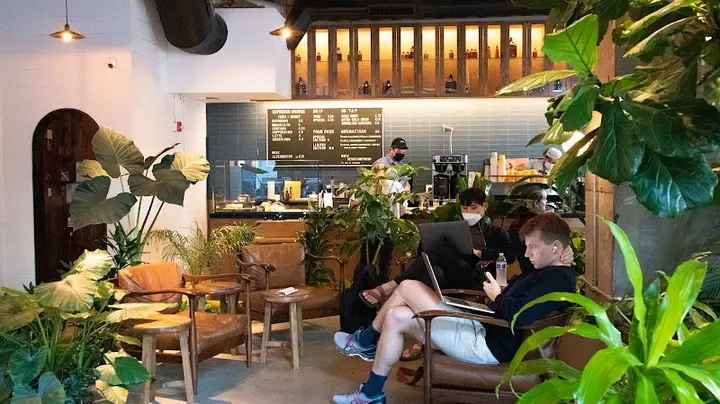 Devocion coffee shop in Brooklyn