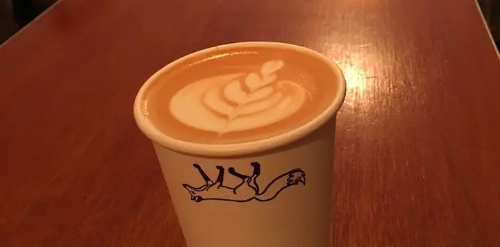 Odd Fox Coffee interior
