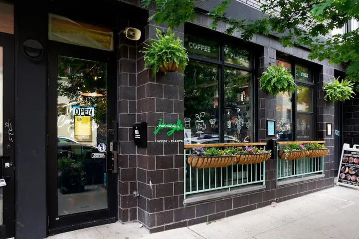 The Concrete Jungle coffee shop in Brooklyn