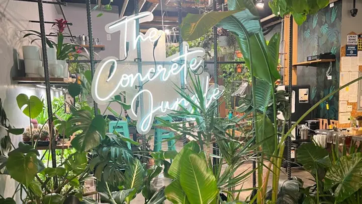 The Concrete Jungle detail